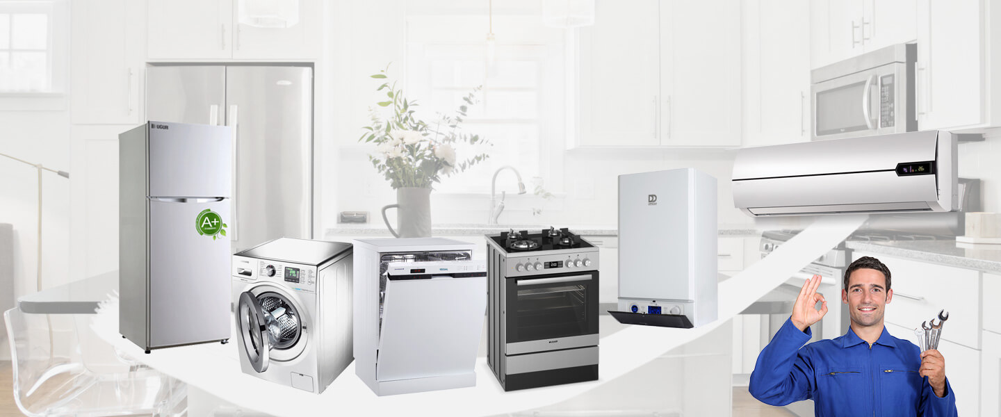 Bornova Gorenje Servisi